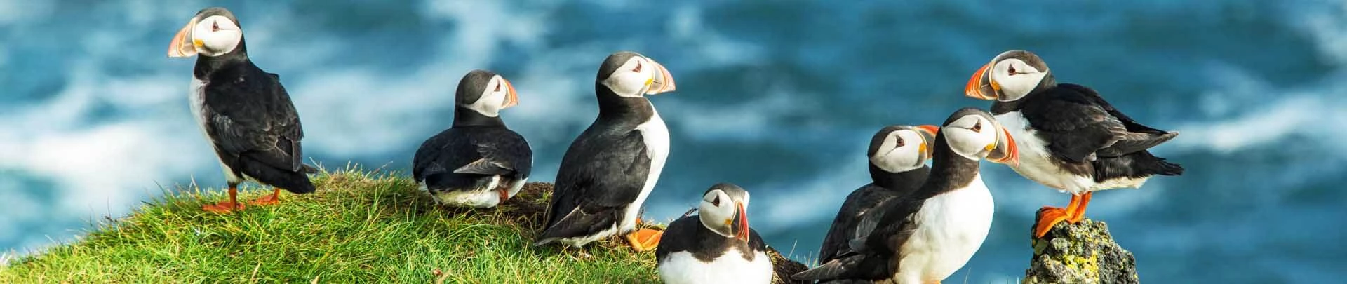 Nos voyages en été en Islande