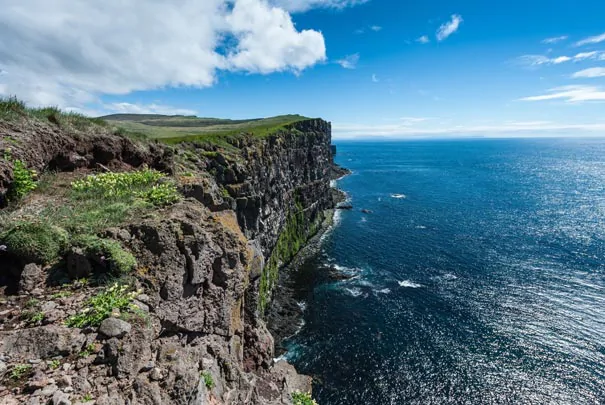 Les falaises de Latrabjarg en Islande