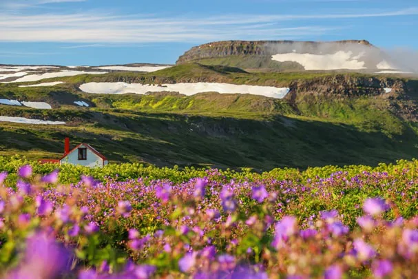 La réserve naturelle de Hornstandir près d'Isafjordur en Islande