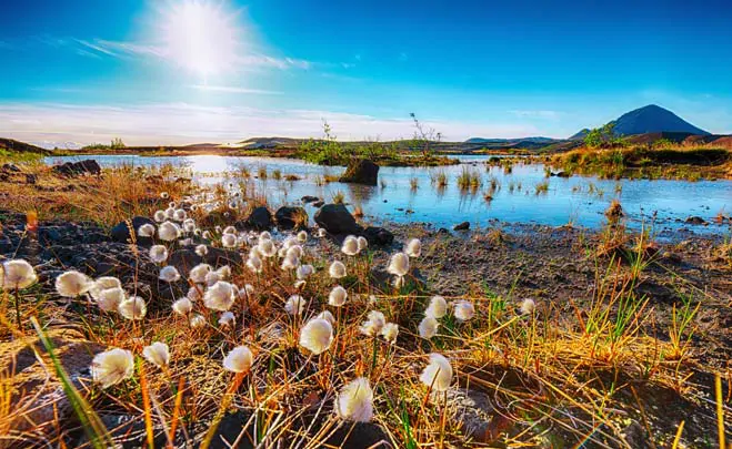 Vue panoramique sur le lac Myvatn en Islande