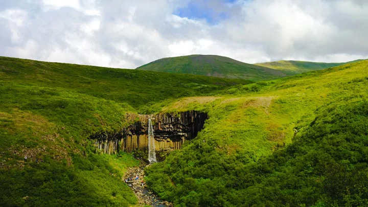 Svartifoss en Islande, nichée dans une oasis de verdure à Skaftafell