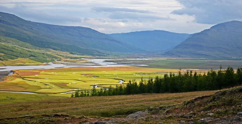 Le Lac Logurinn à proximité d'Egilsstadir en Islande