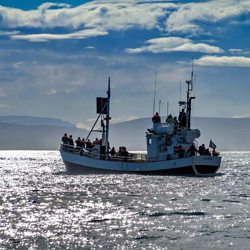 Bateau de croisière d'observation des baleines