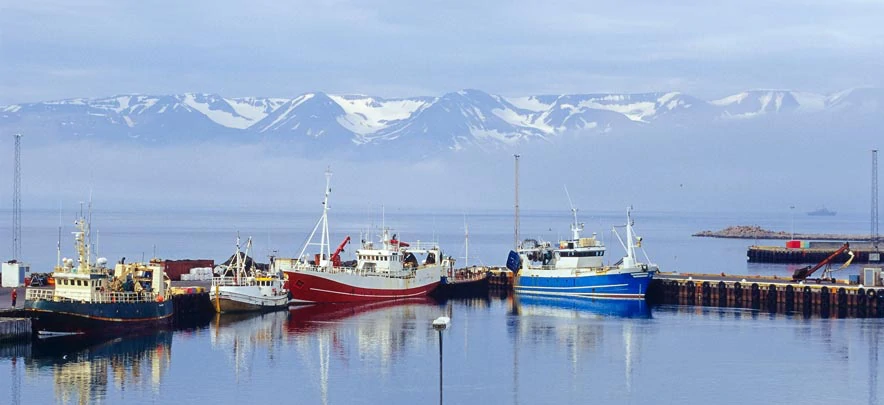 Des bateaux de pêche dans le petit port d'Husavik en Islande